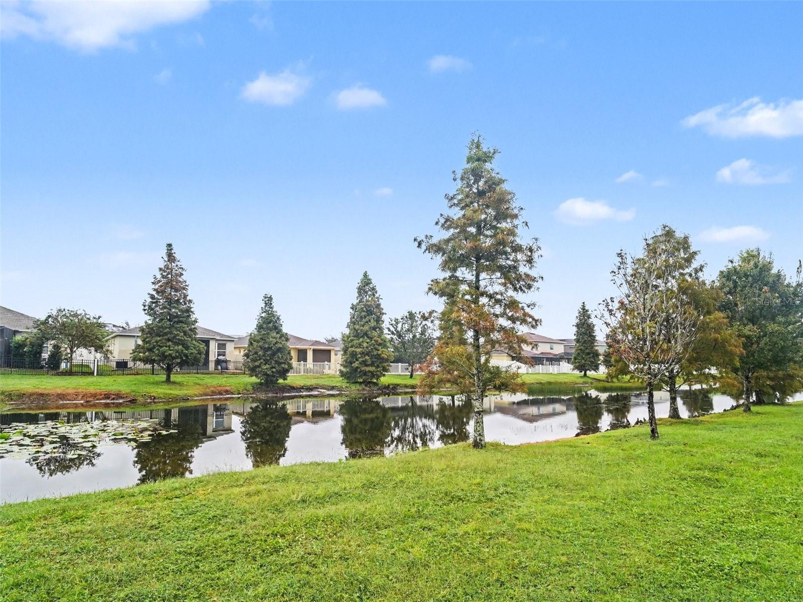 10439 LAGUNA PLAINS DR — photo 52