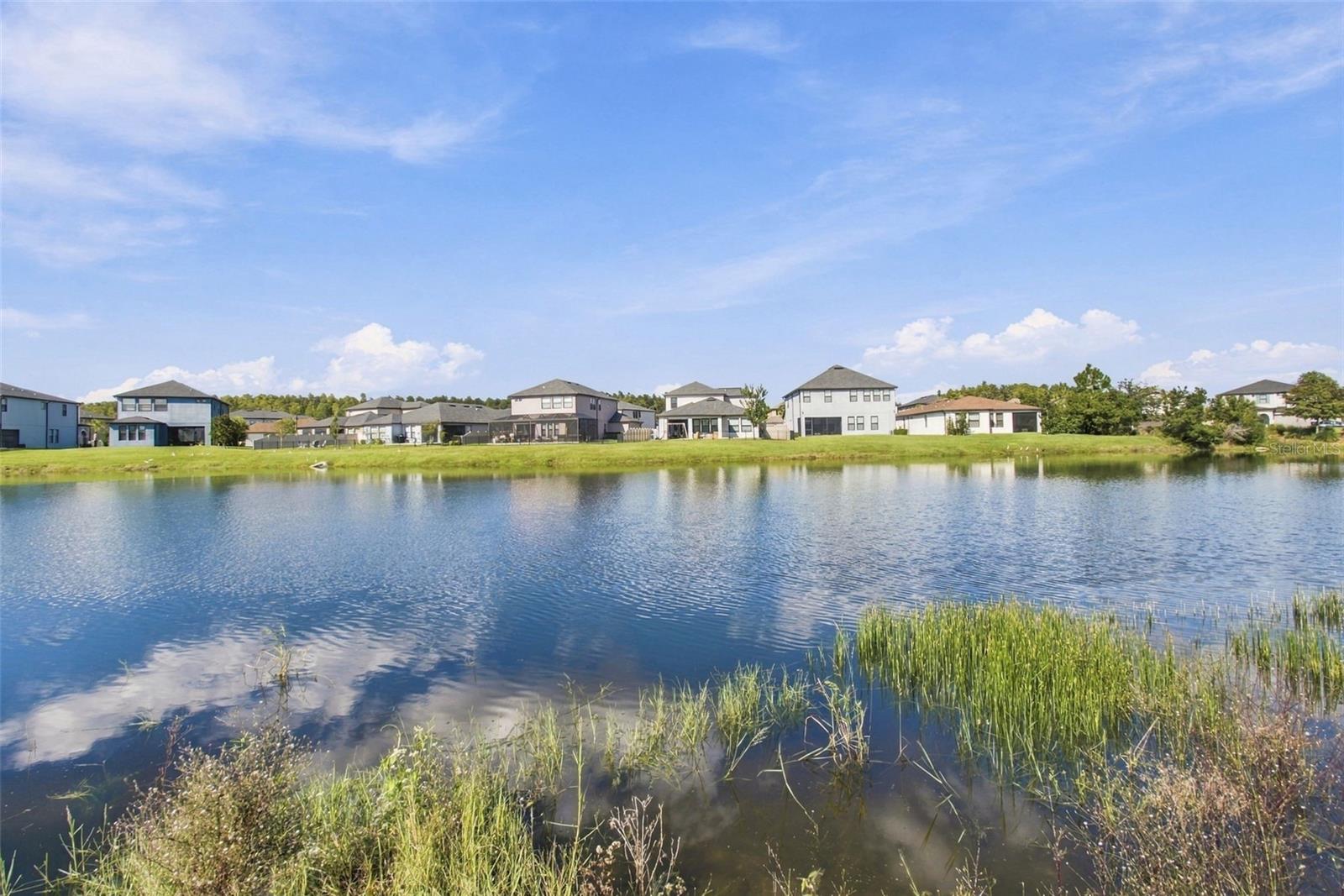 28755 LUCERO LN — photo 41