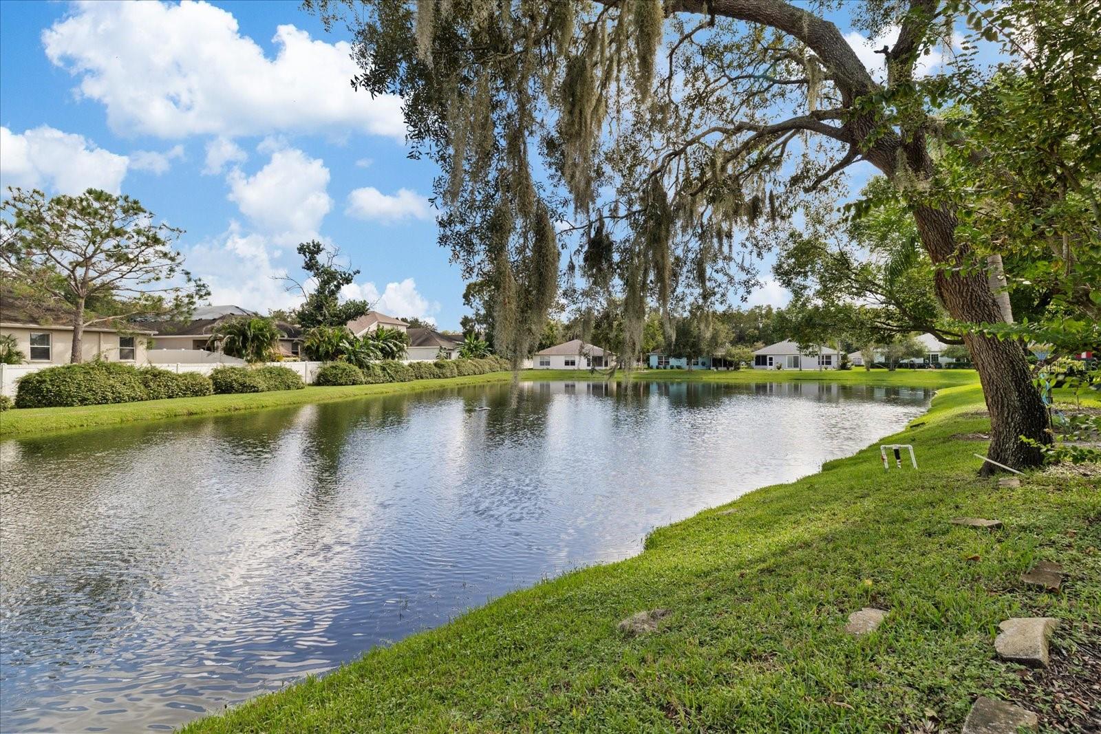 12128 LOBLOLLY PINE DR — photo 40