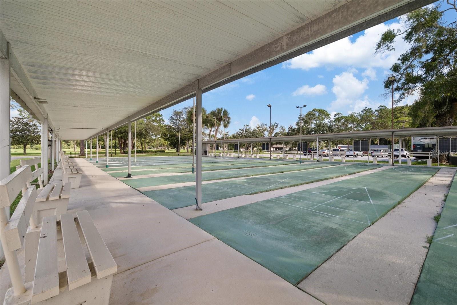 12128 LOBLOLLY PINE DR — photo 46