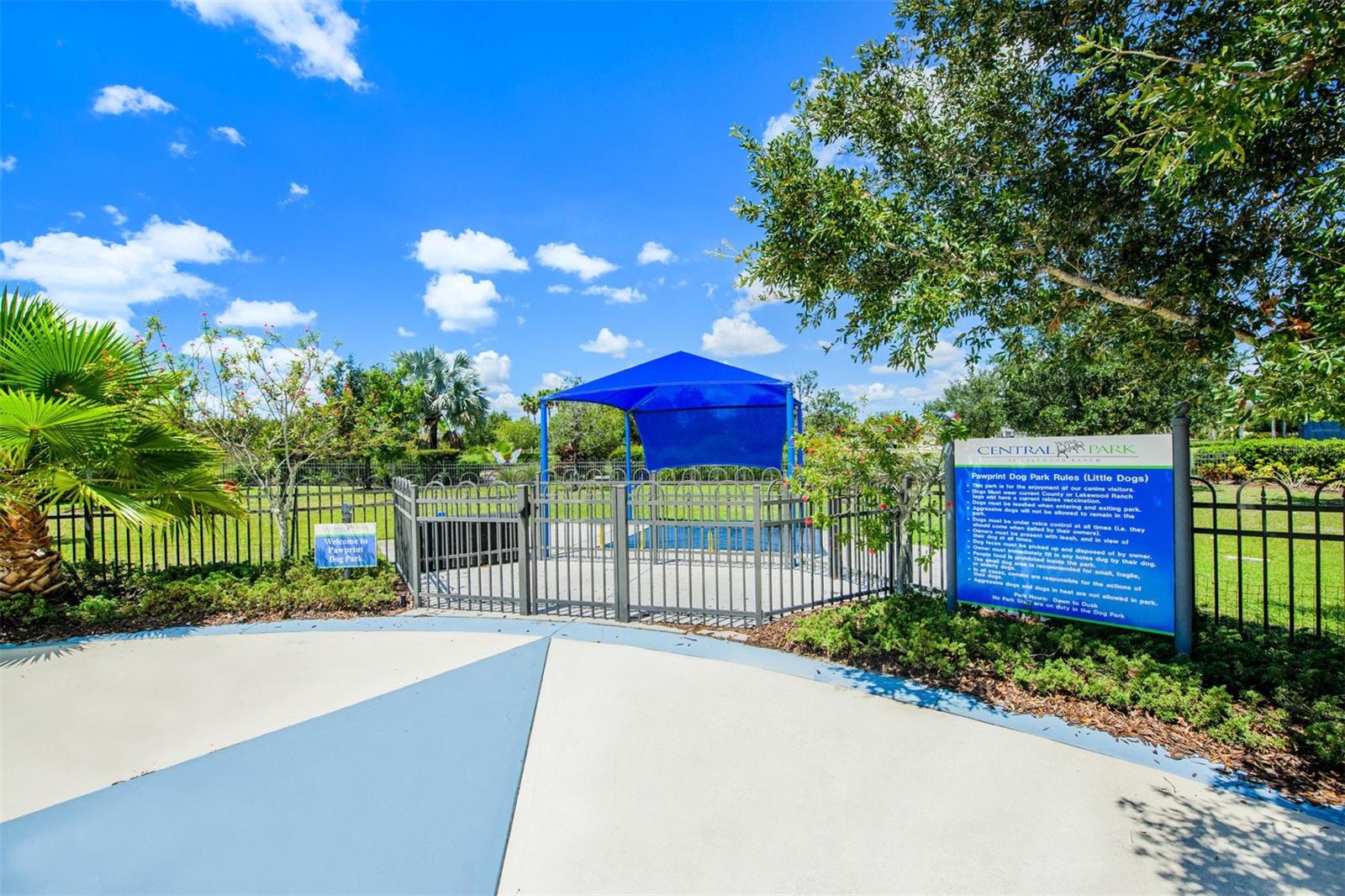 11212 WHITE ROCK TER — photo 48