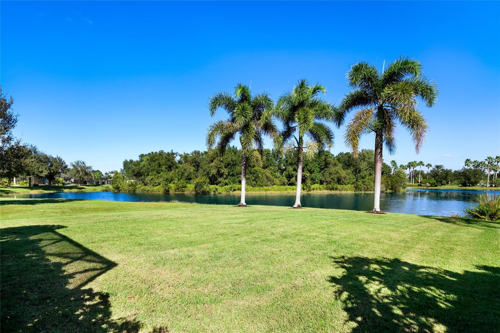 11212 WHITE ROCK TER — photo 35