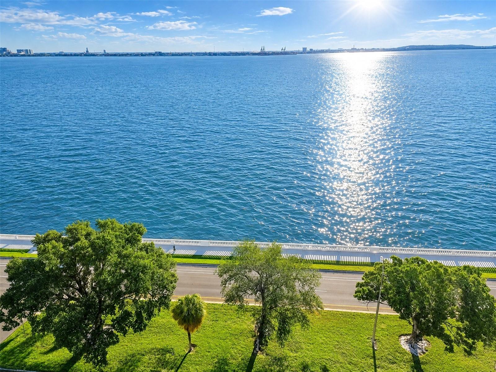4015 BAYSHORE BLVD #11A — photo 3