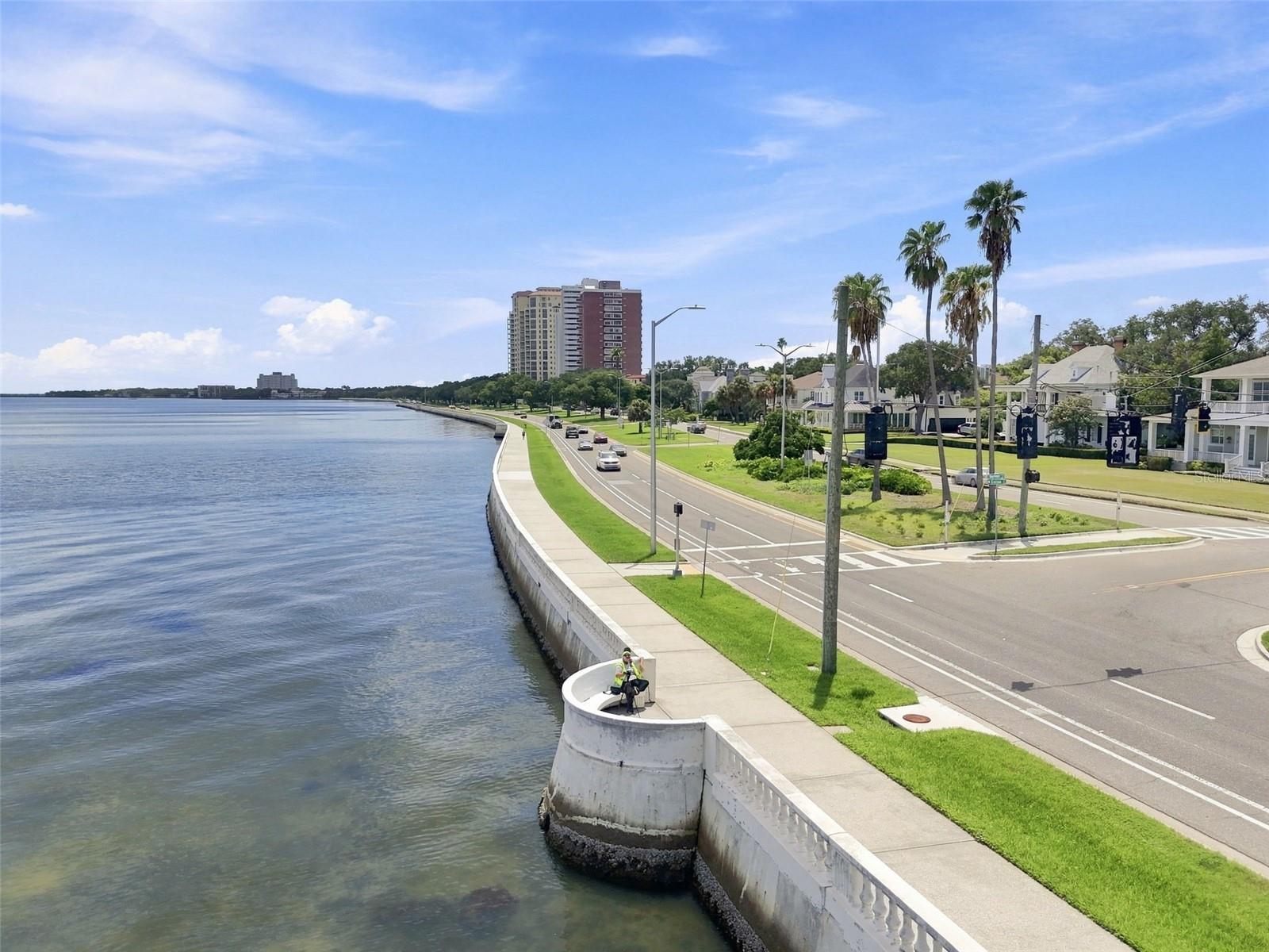 4015 BAYSHORE BLVD #11A — photo 35