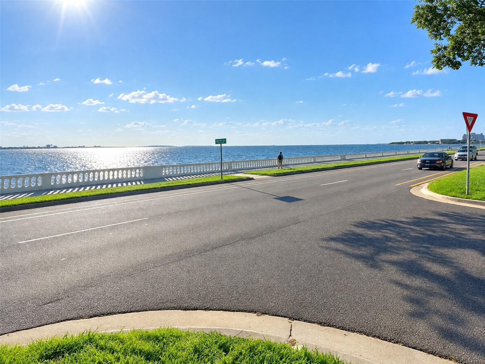 4015 BAYSHORE BLVD #11A — photo 4