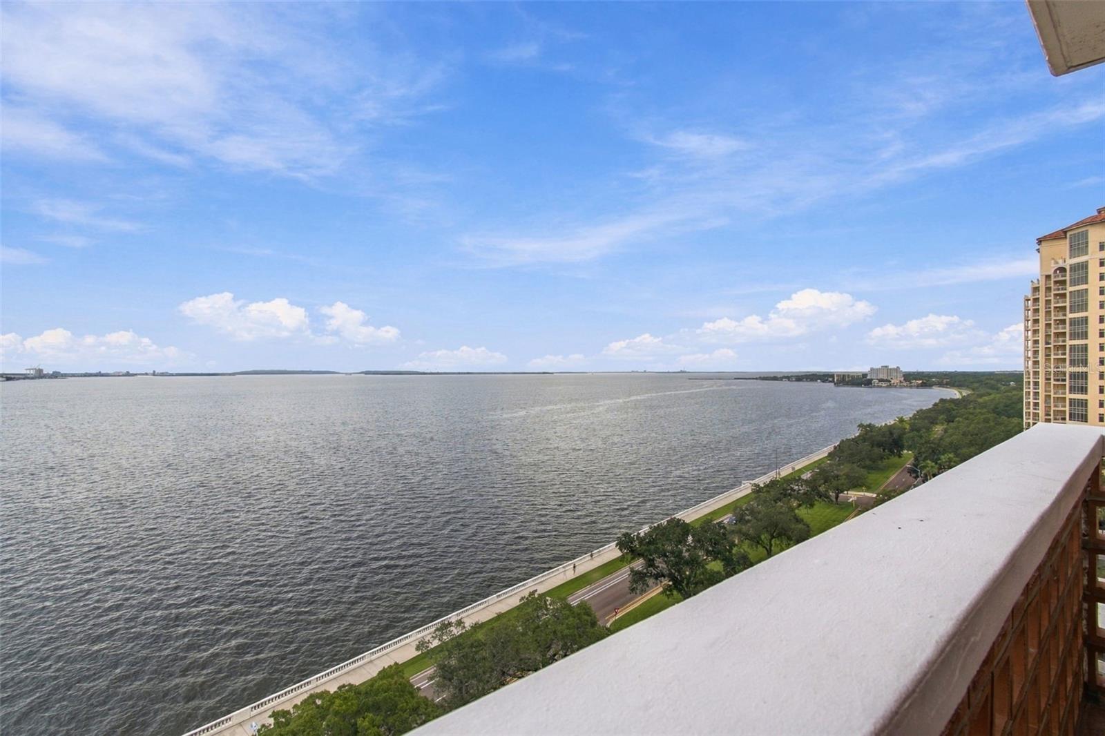 4015 BAYSHORE BLVD #11A — photo 19