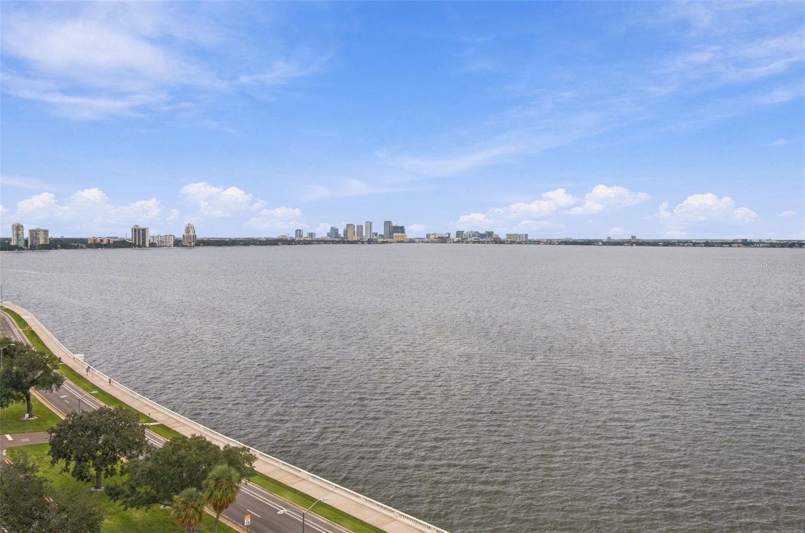 4015 BAYSHORE BLVD #11A — photo 18