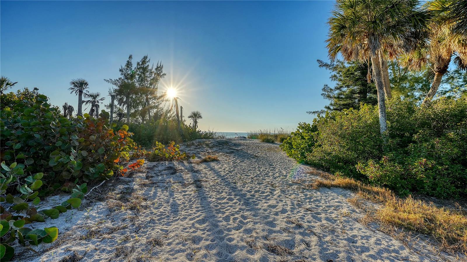 8017 MANASOTA KEY RD — photo 64