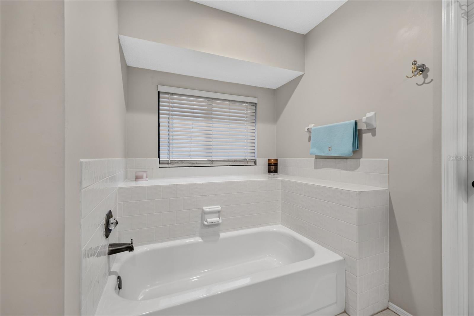 18301 BIG POND WAY — photo 21