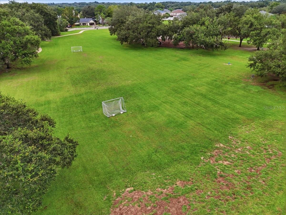 2610 BUCKHORN PRESERVE BLVD — photo 77