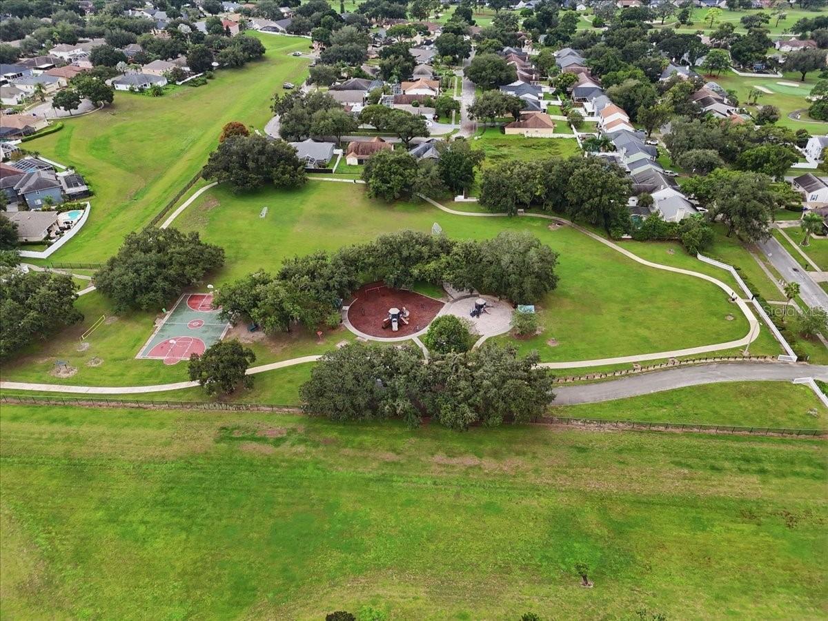 2610 BUCKHORN PRESERVE BLVD — photo 76