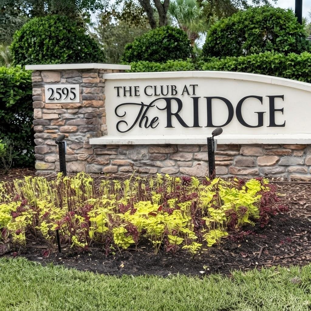 31261 CHESAPEAKE BAY DR — photo 33