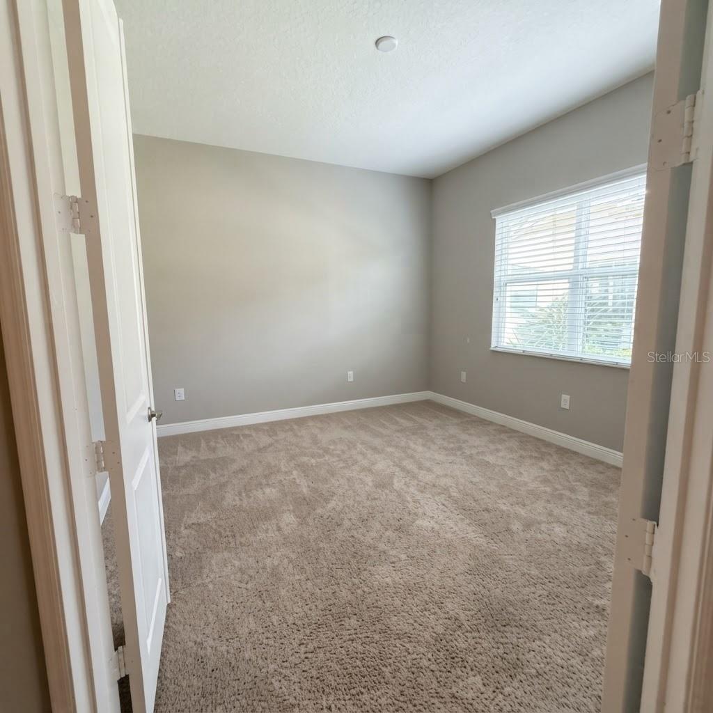 31261 CHESAPEAKE BAY DR — photo 17
