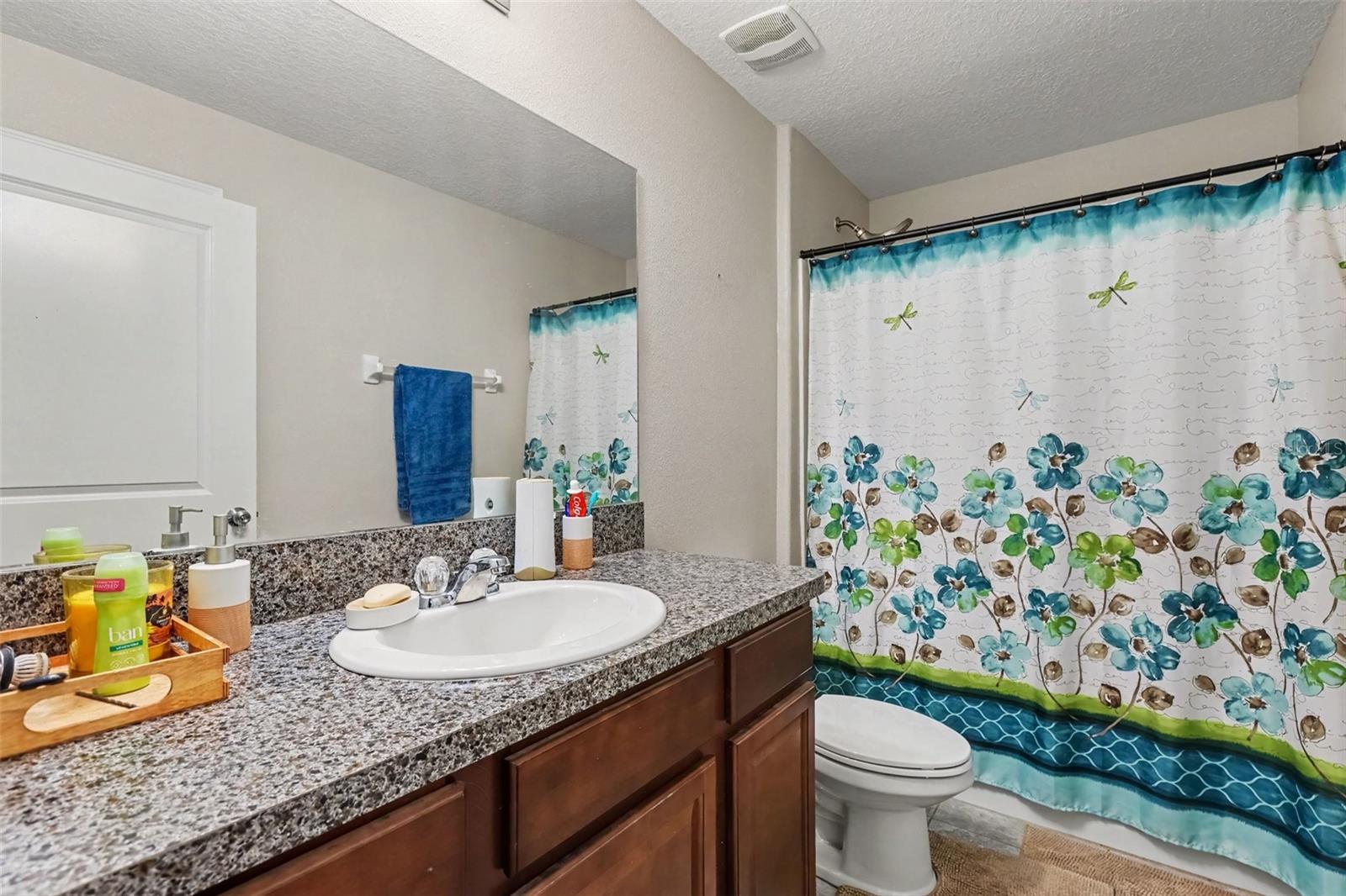 223 CASCADE BEND DR — photo 19