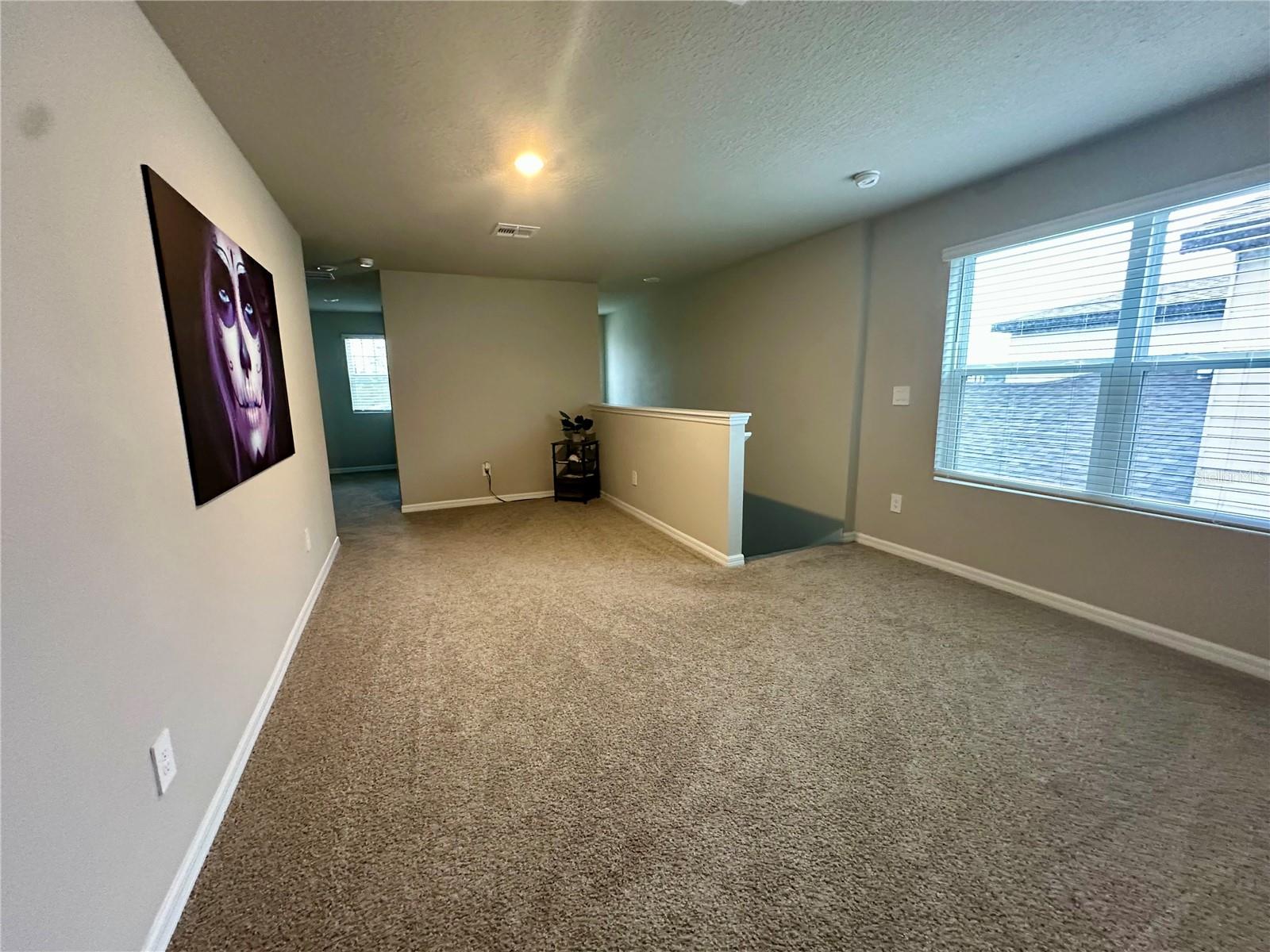 3910 RADIANT MOUNTAIN DR — photo 31