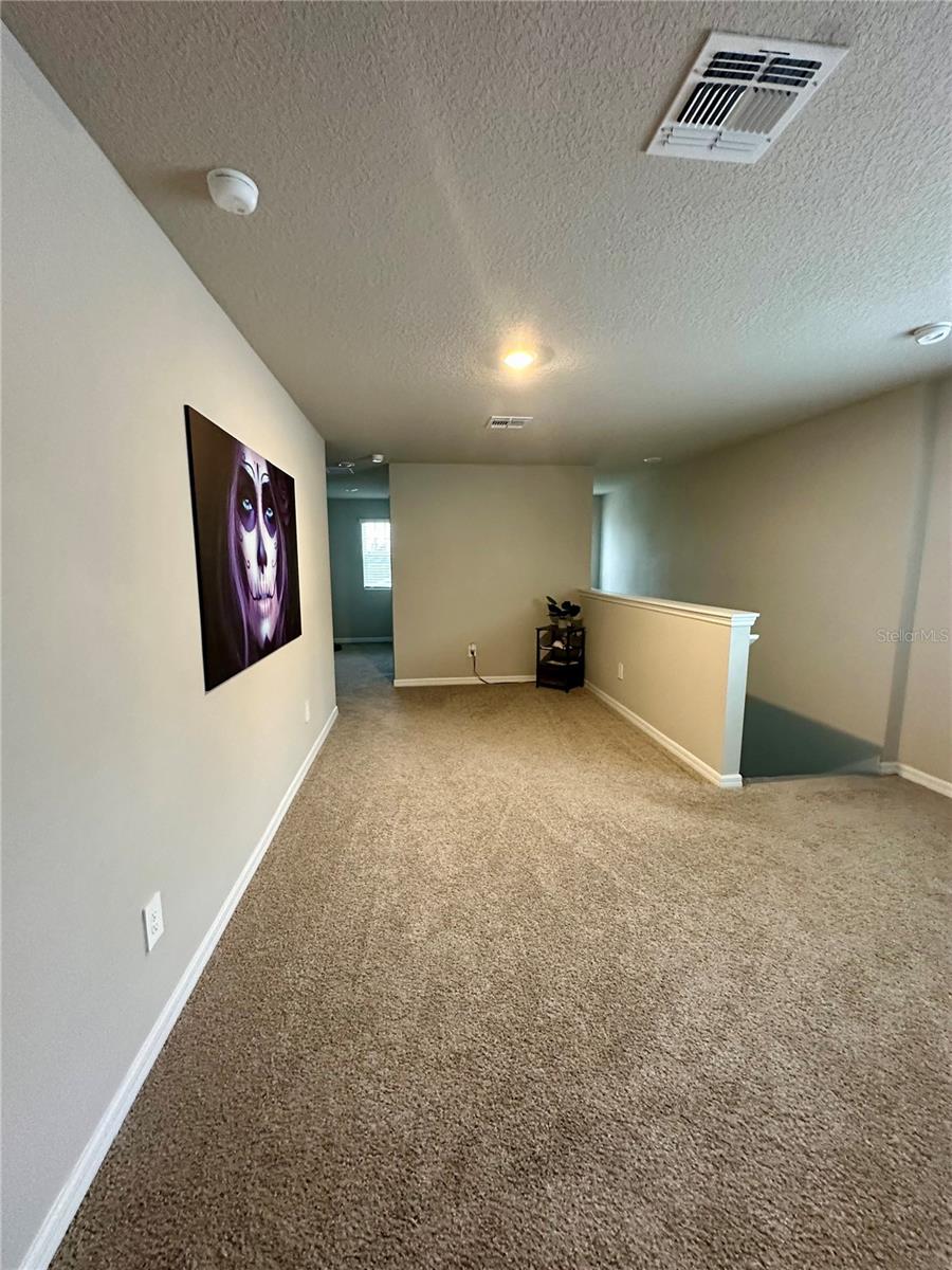 3910 RADIANT MOUNTAIN DR — photo 33