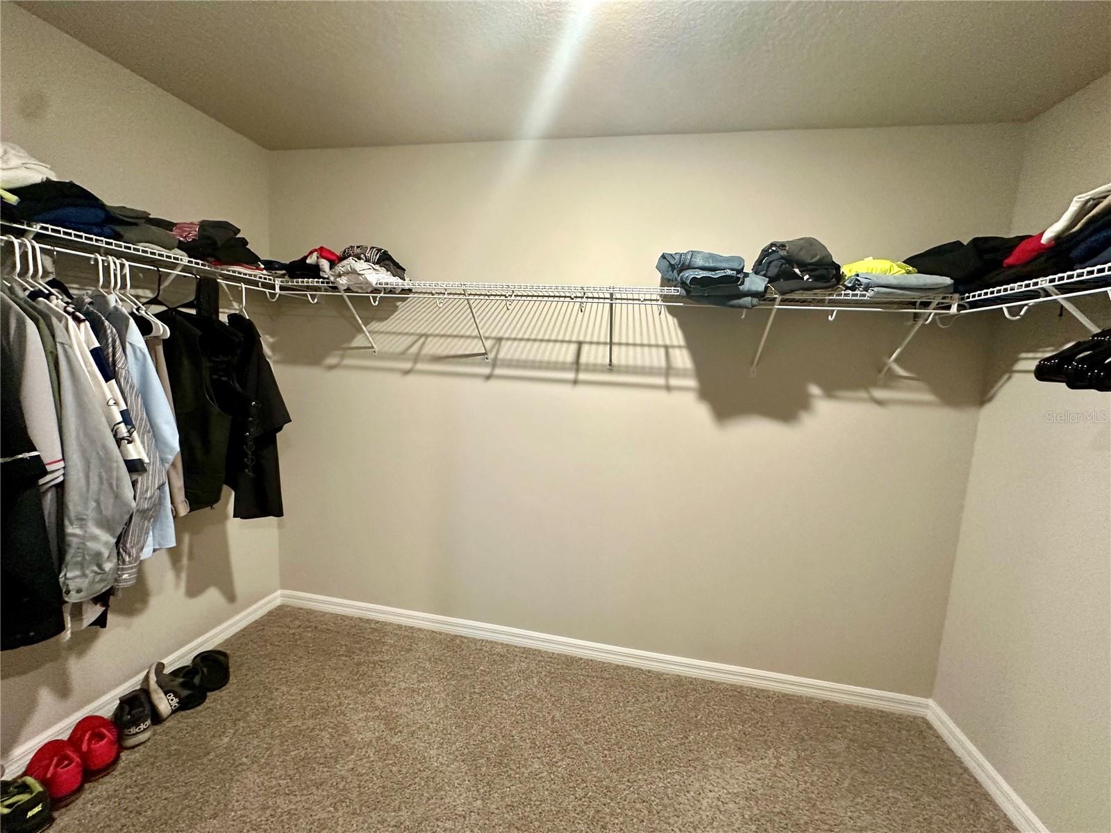 3910 RADIANT MOUNTAIN DR — photo 36