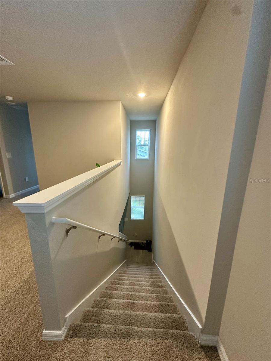 3910 RADIANT MOUNTAIN DR — photo 21