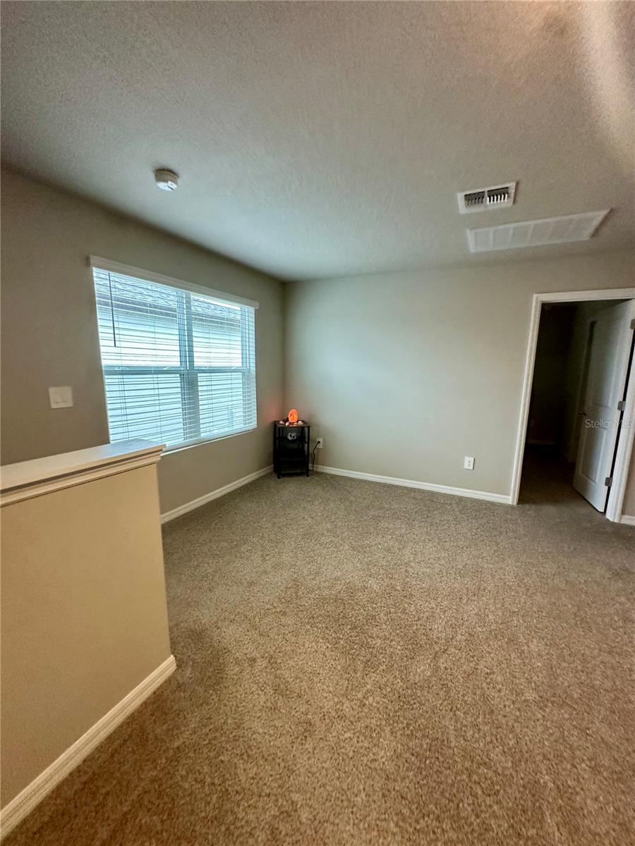 3910 RADIANT MOUNTAIN DR — photo 22