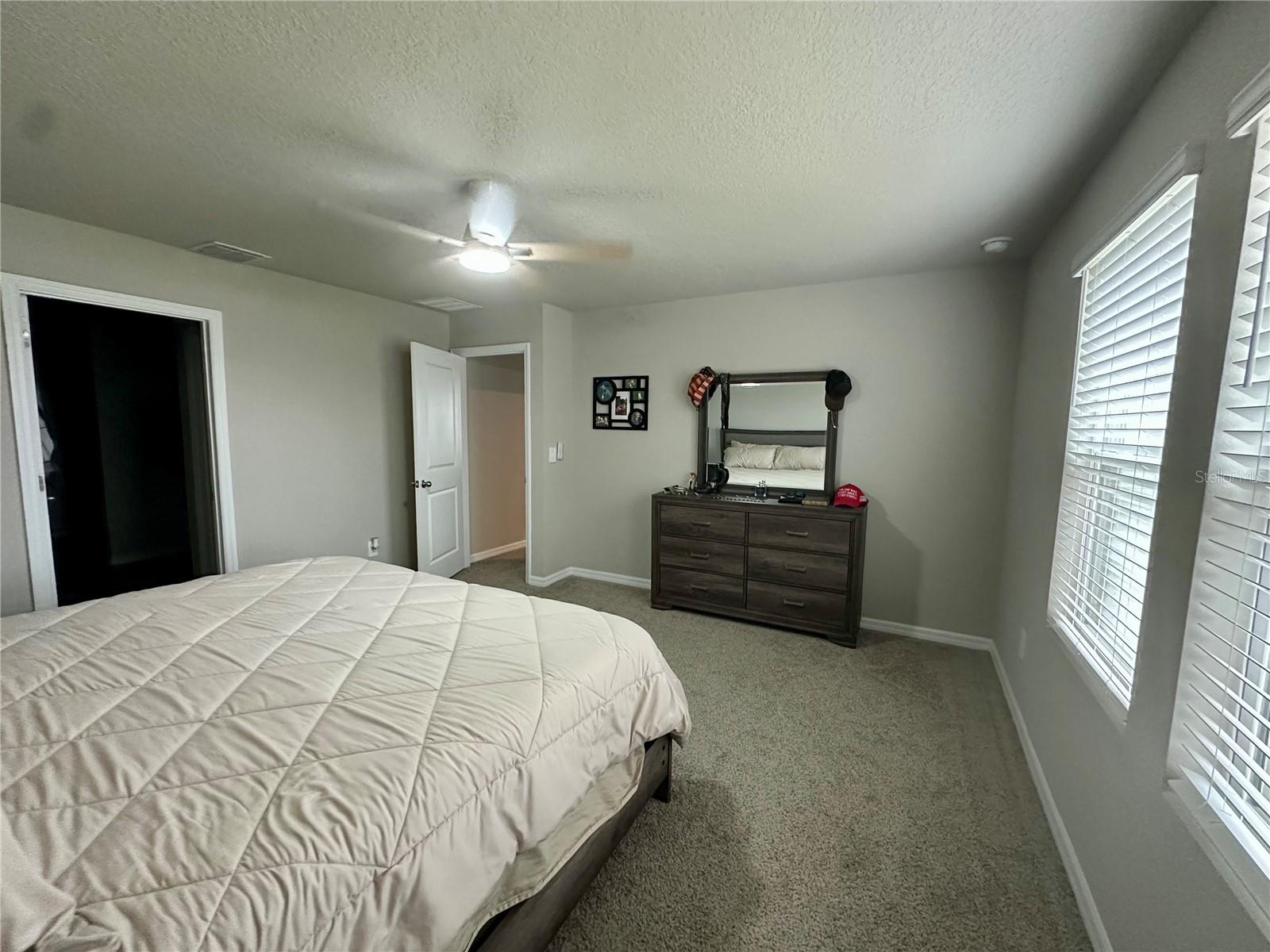 3910 RADIANT MOUNTAIN DR — photo 41