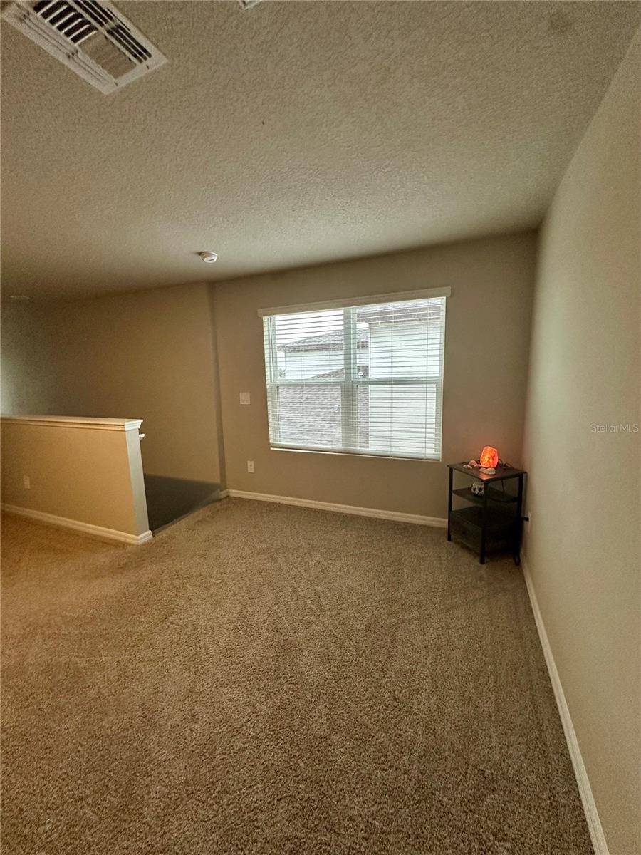 3910 RADIANT MOUNTAIN DR — photo 30