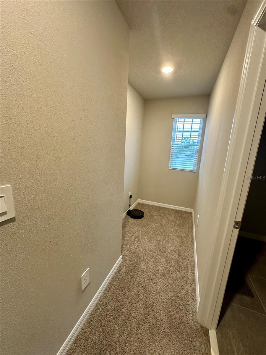 3910 RADIANT MOUNTAIN DR — photo 26