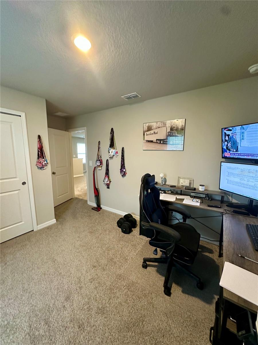 3910 RADIANT MOUNTAIN DR — photo 24