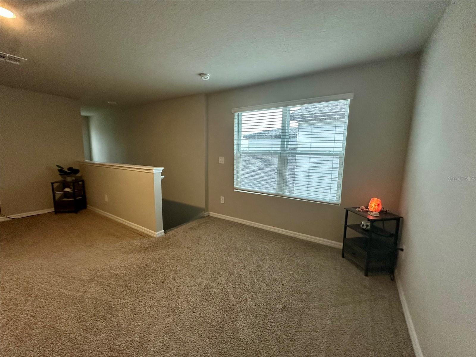 3910 RADIANT MOUNTAIN DR — photo 29