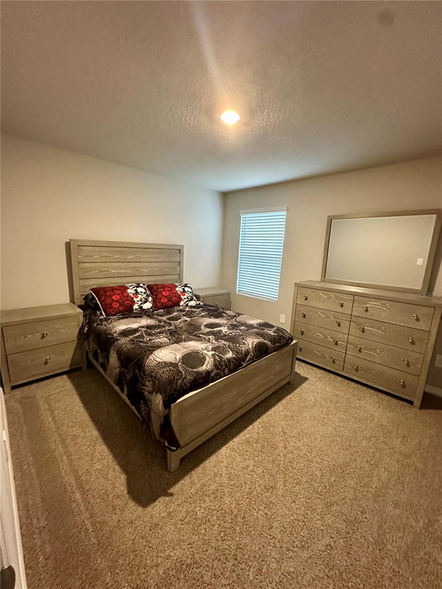 3910 RADIANT MOUNTAIN DR — photo 40