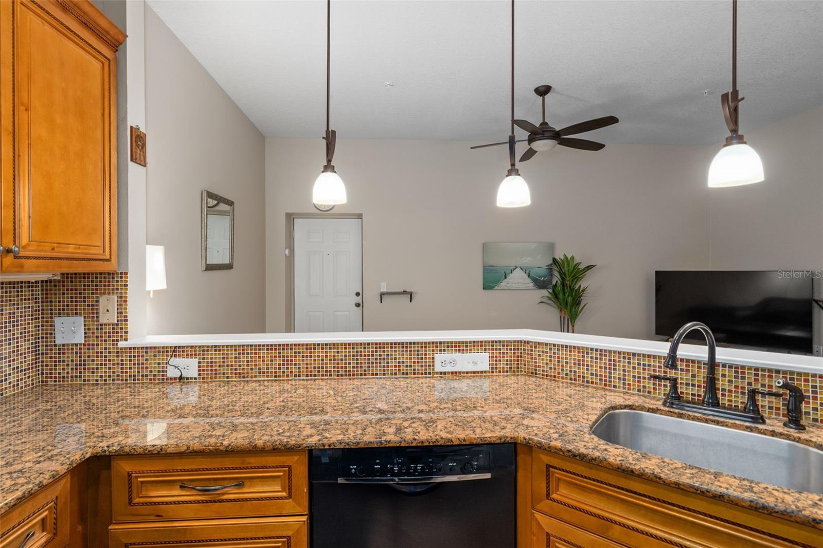 701 MIRROR LAKE DR N #120 — photo 26