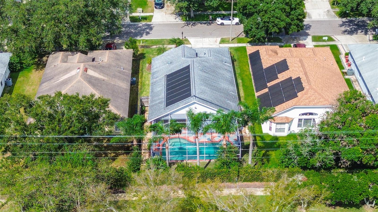 1709 SCOTCH PINE DR — photo 29