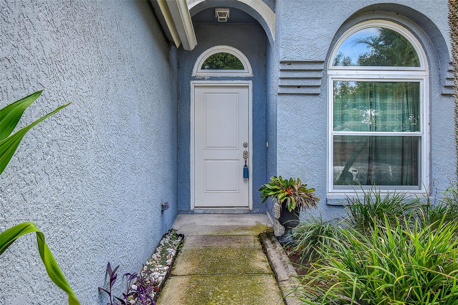 1709 SCOTCH PINE DR — photo 3
