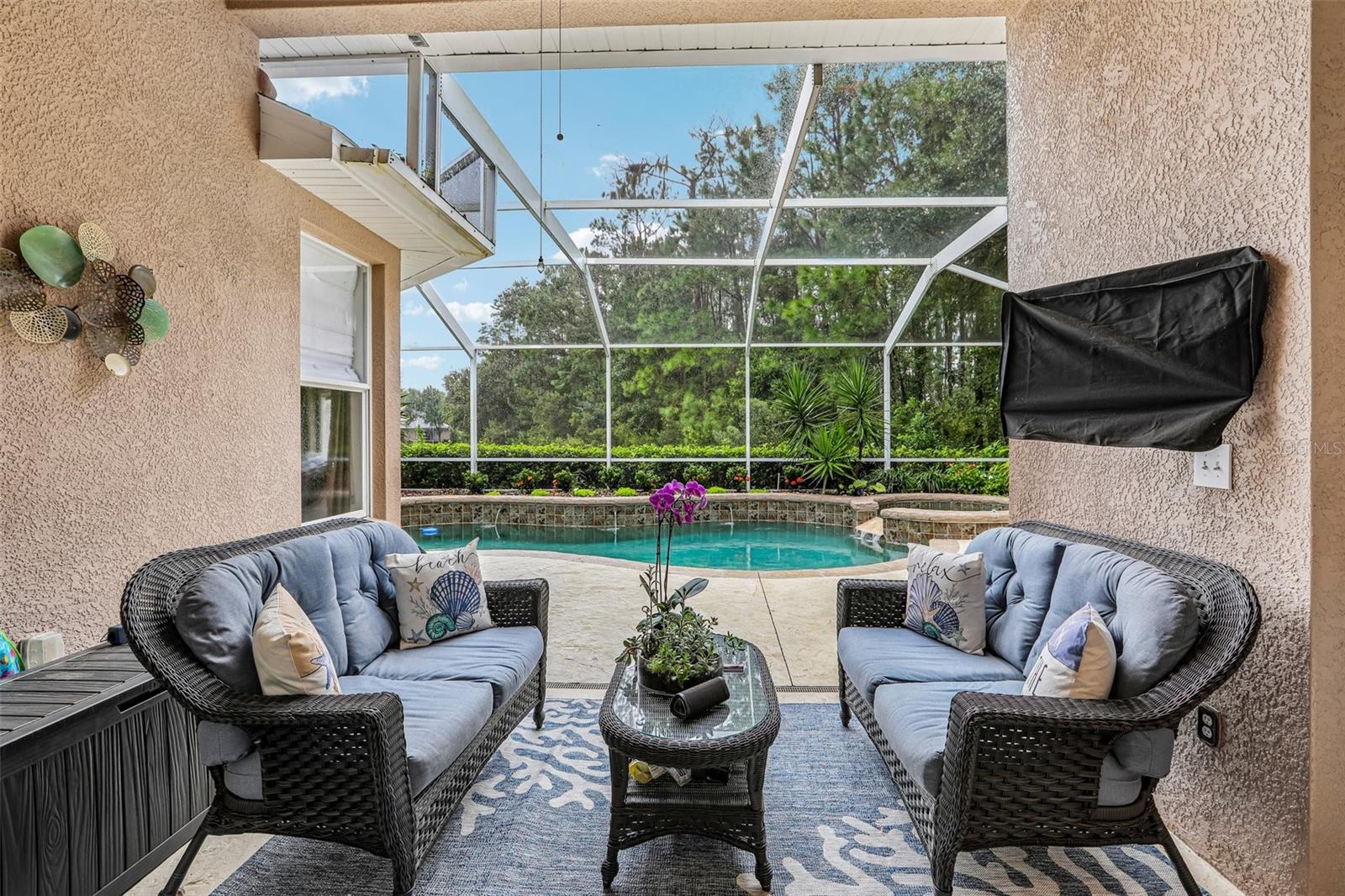 27443 MISTFLOWER DR — photo 29