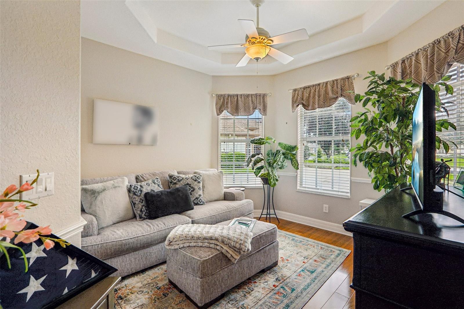 27443 MISTFLOWER DR — photo 27