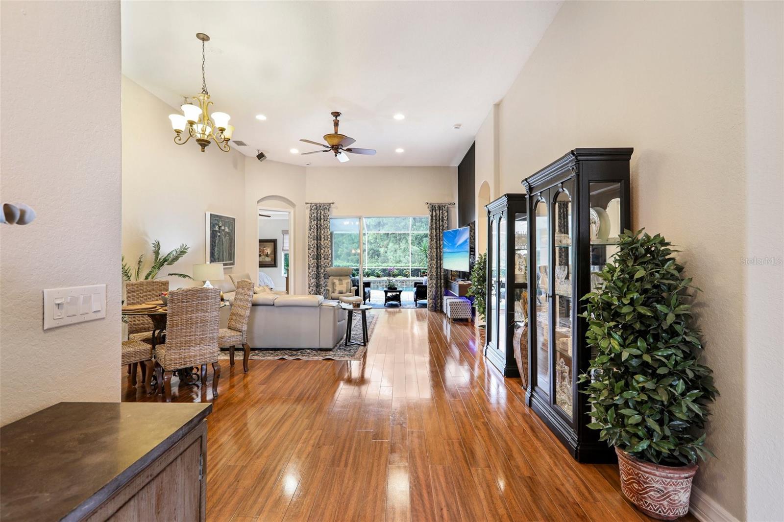 27443 MISTFLOWER DR — photo 8