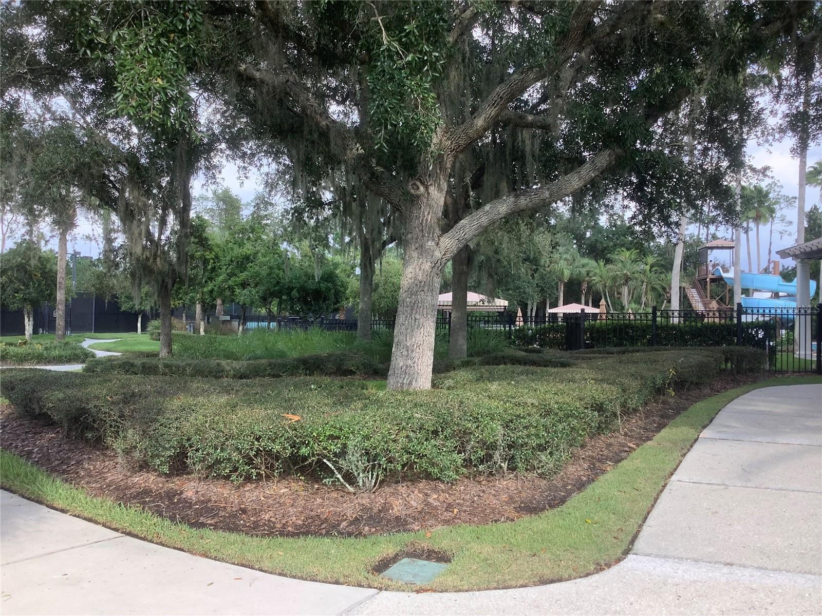 27443 MISTFLOWER DR — photo 37