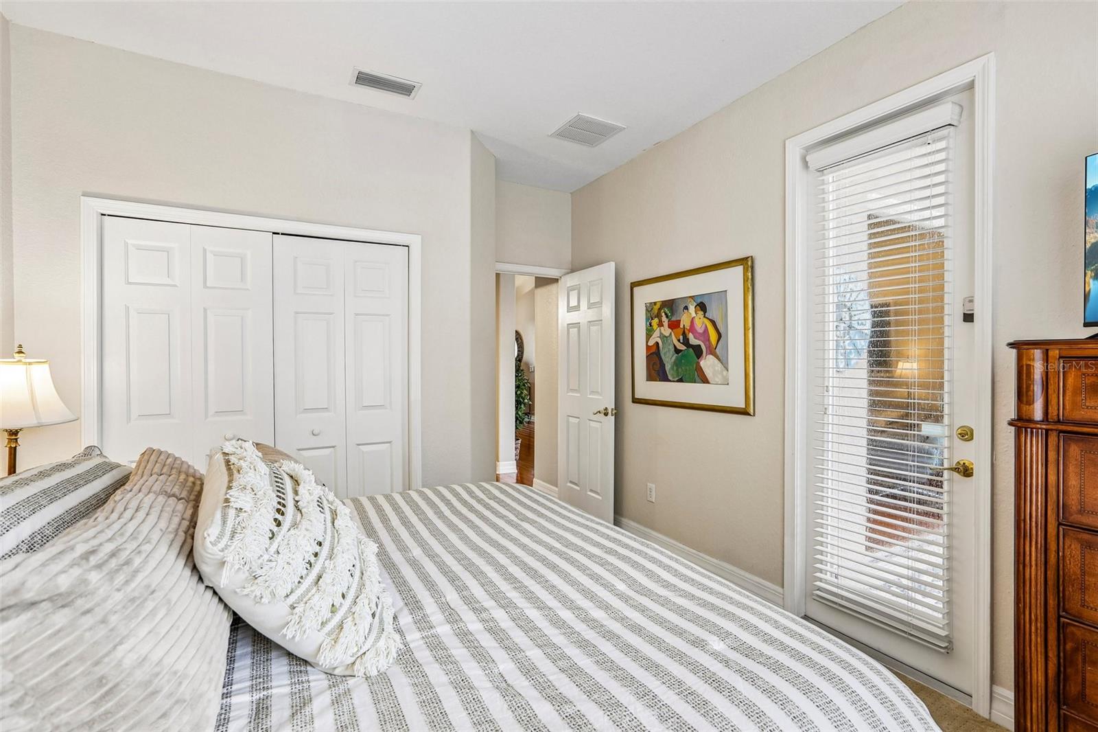 27443 MISTFLOWER DR — photo 23