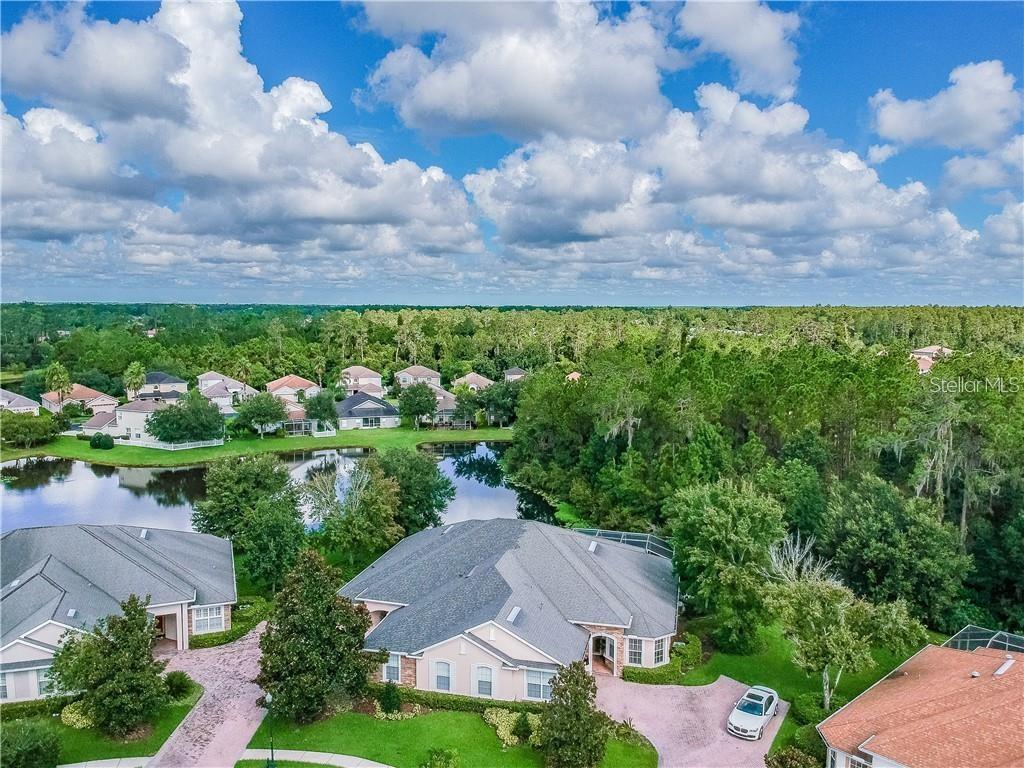 27443 MISTFLOWER DR — photo 32