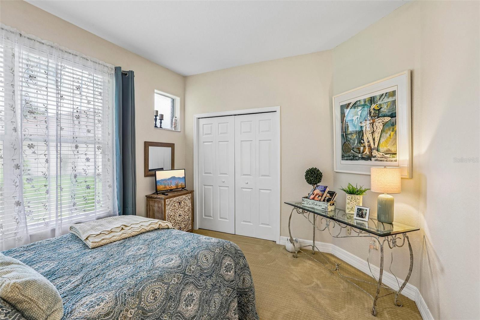 27443 MISTFLOWER DR — photo 25