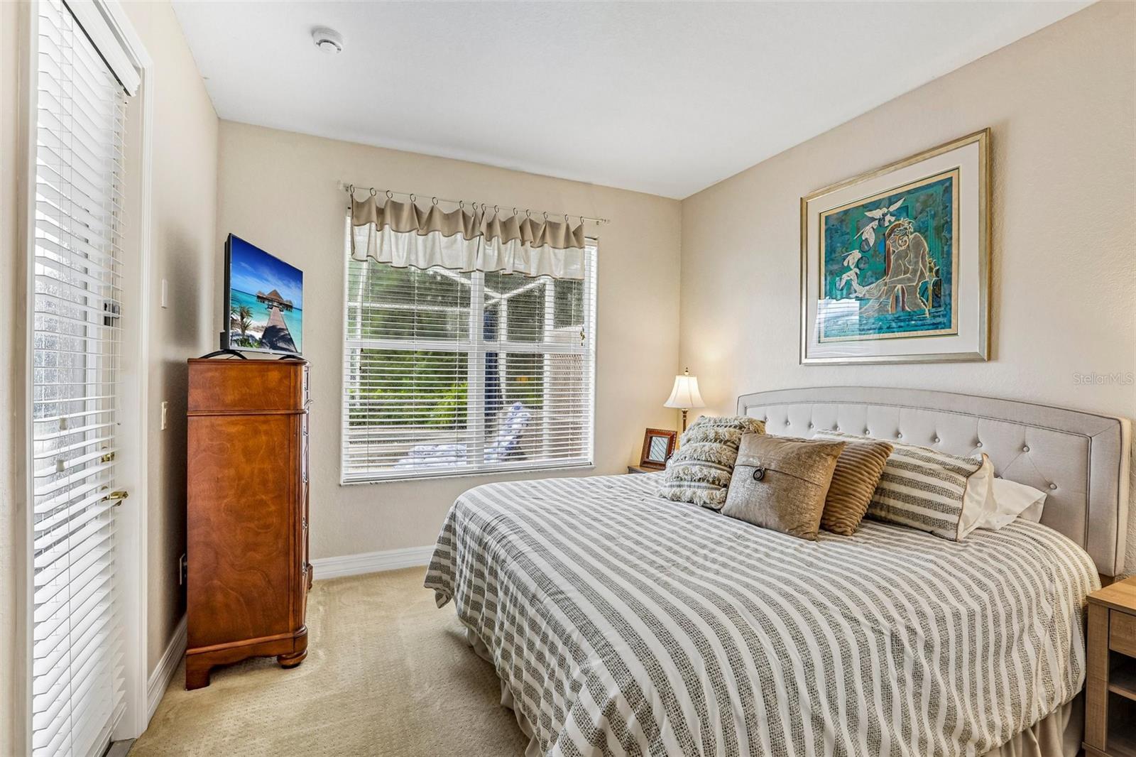 27443 MISTFLOWER DR — photo 22