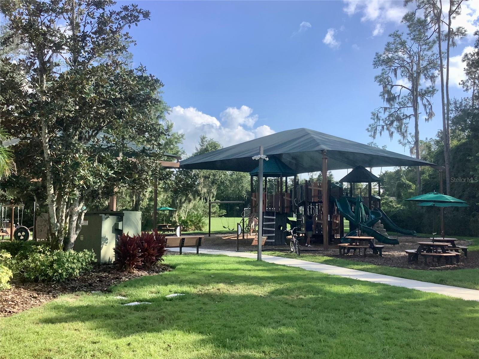 27443 MISTFLOWER DR — photo 41