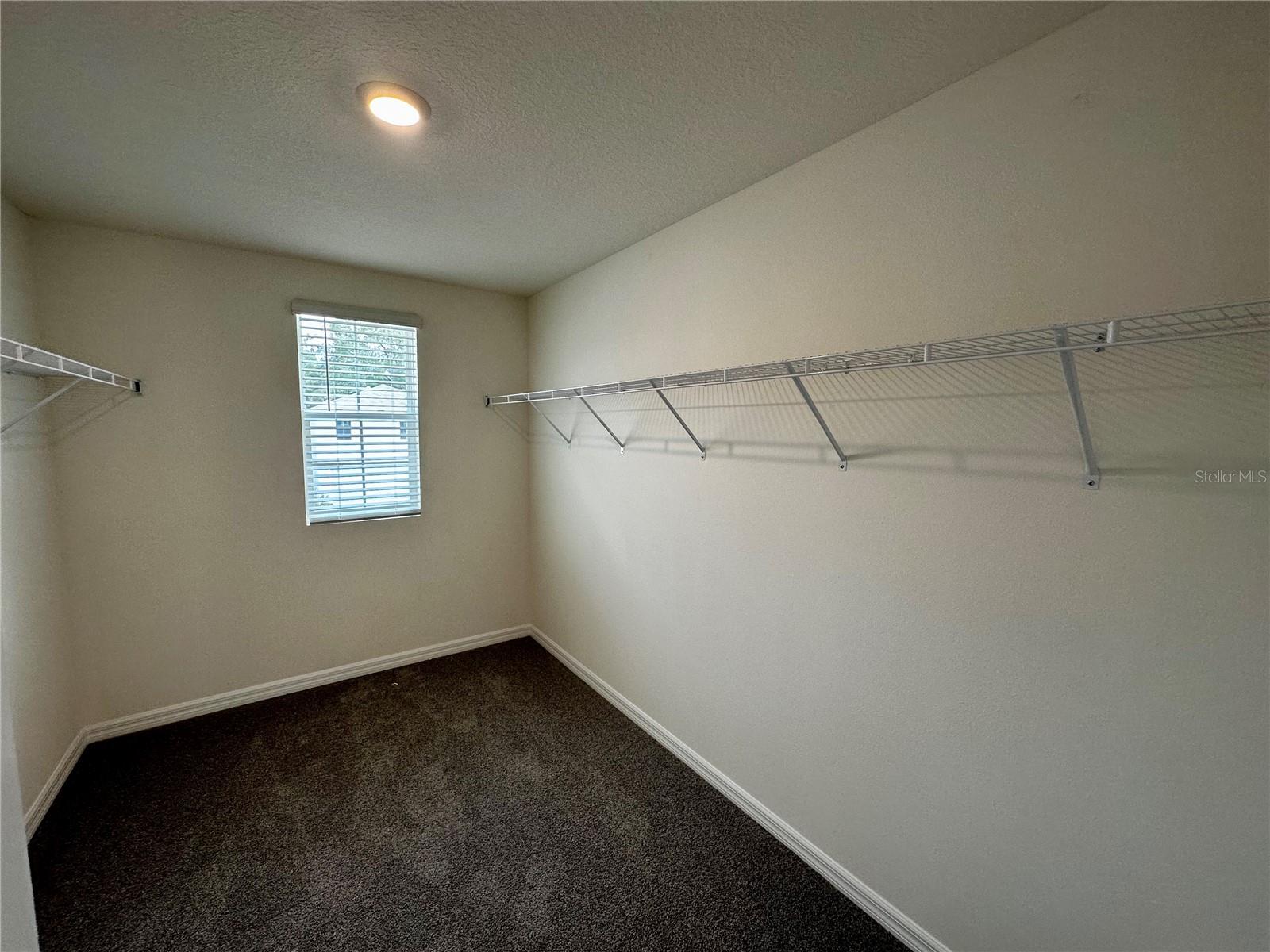 36711 SPANISH ROSE DR — photo 19