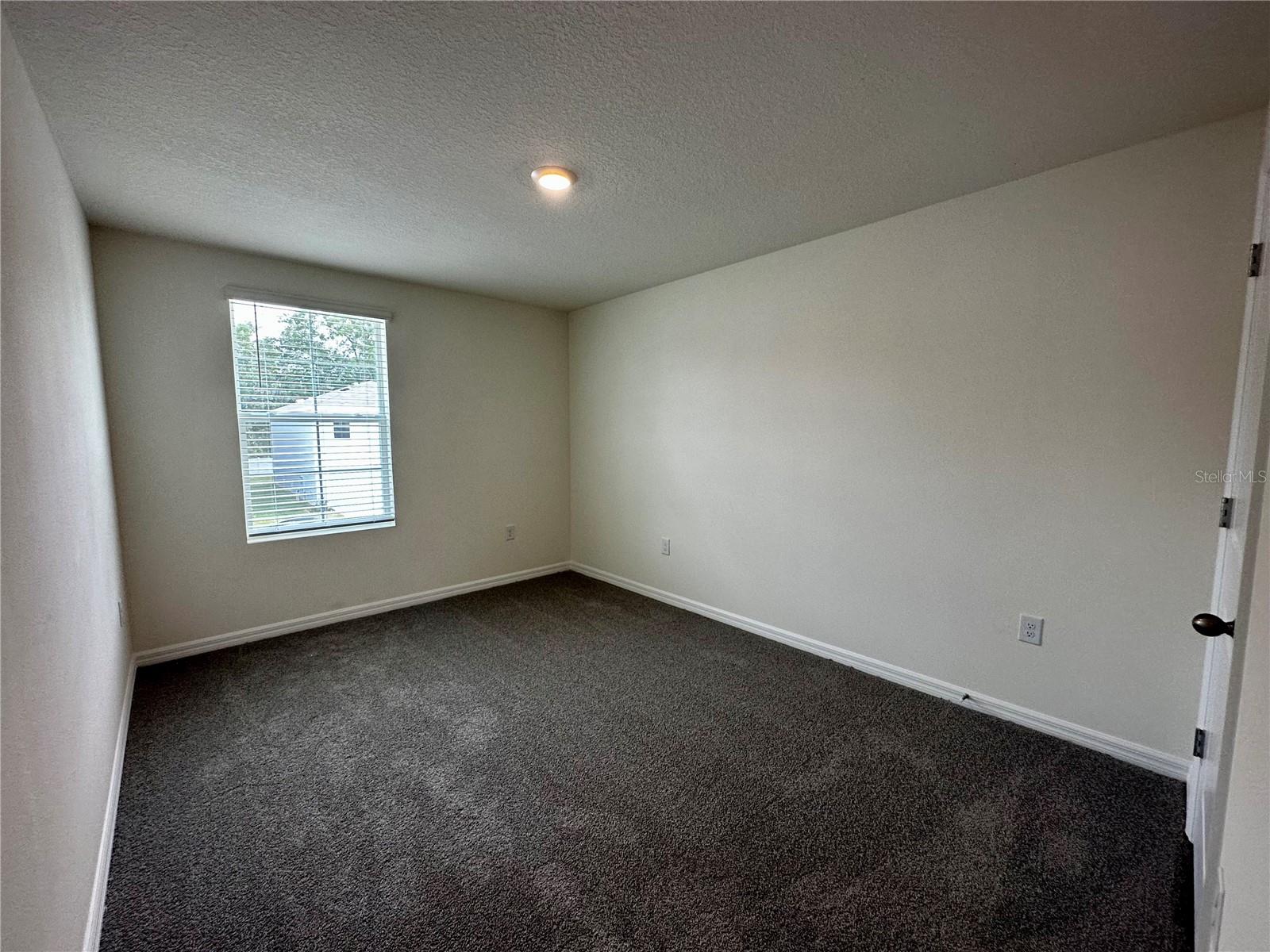 36711 SPANISH ROSE DR — photo 14