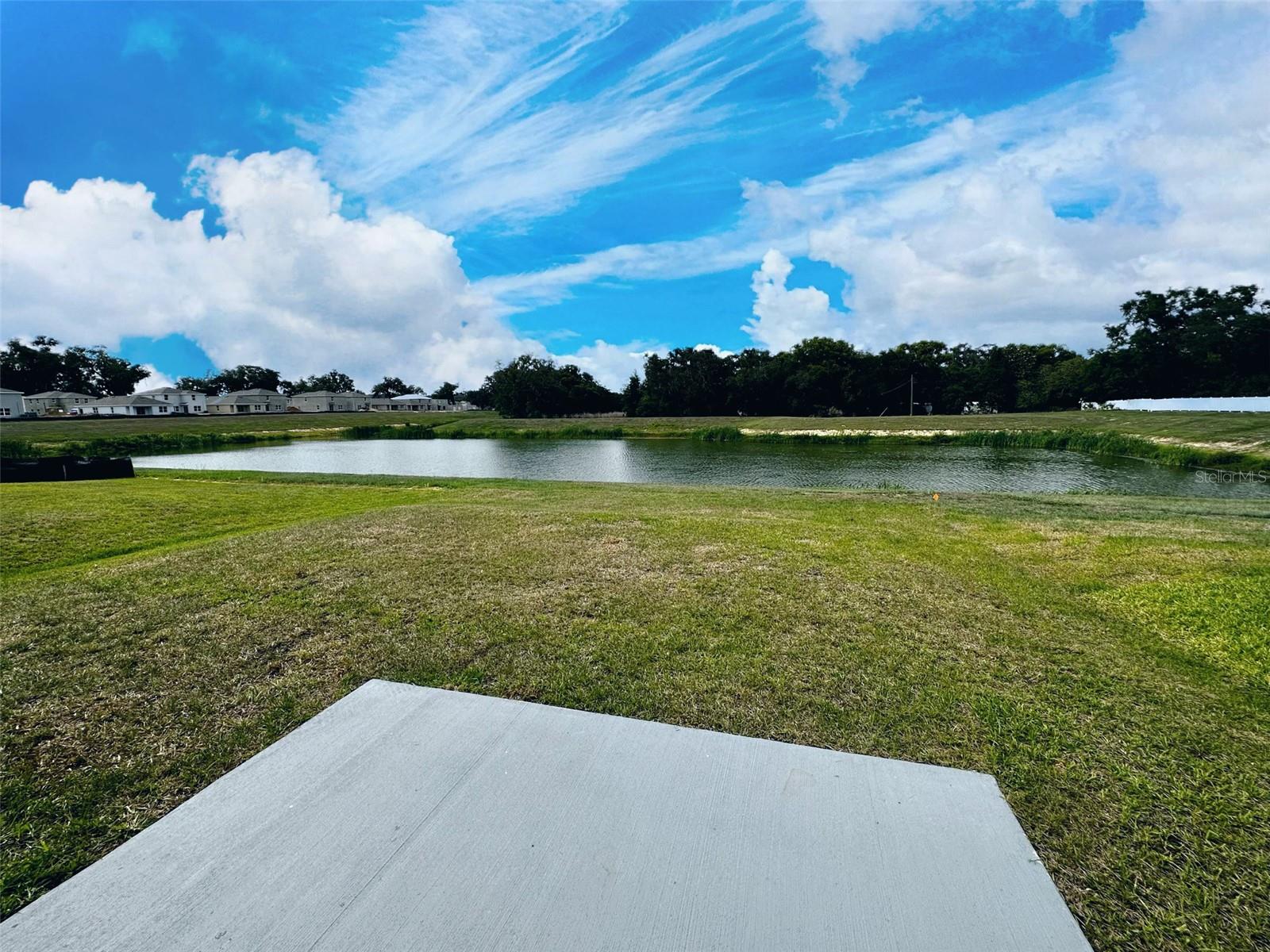 36711 SPANISH ROSE DR — photo 30