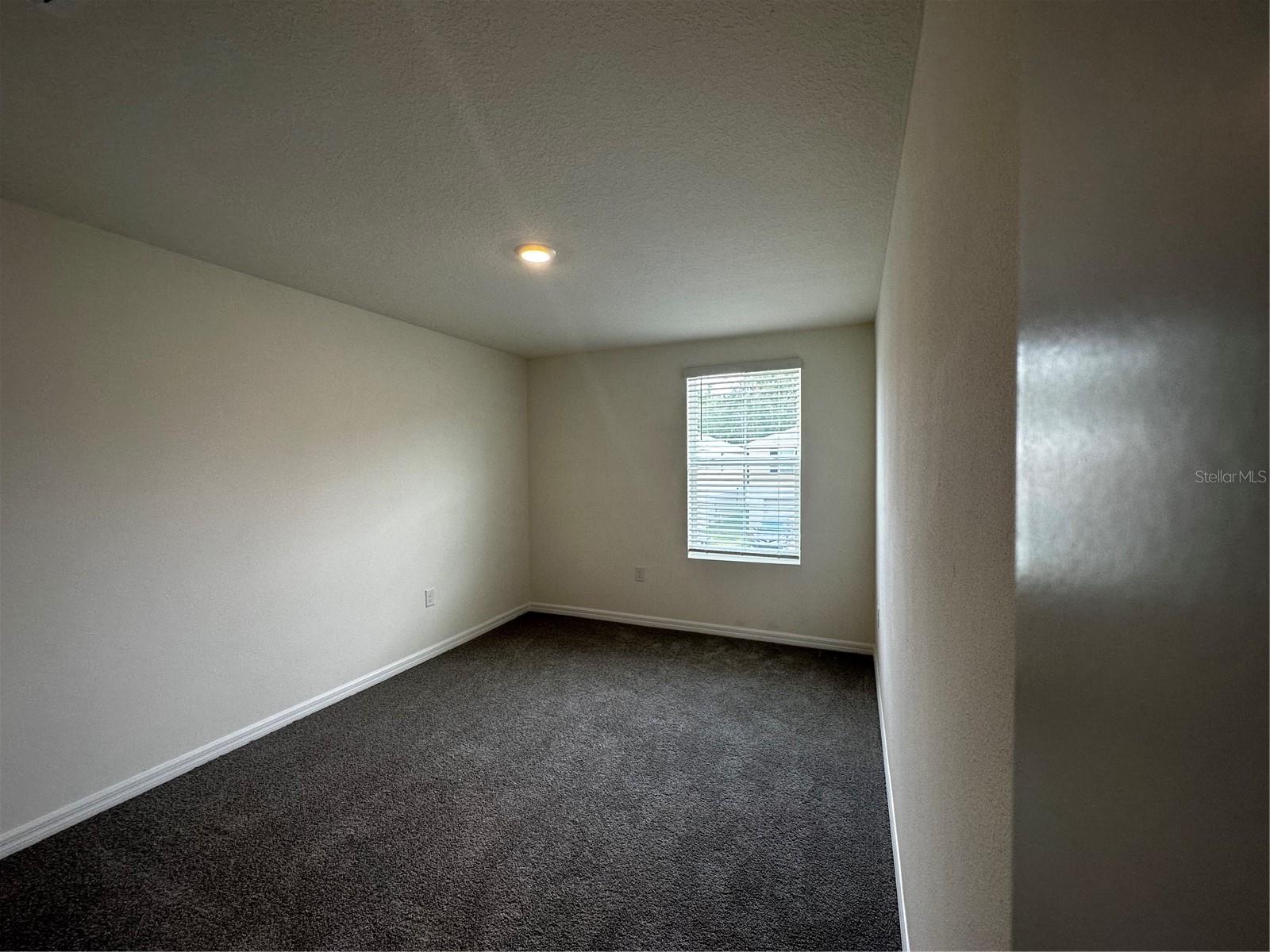36711 SPANISH ROSE DR — photo 18