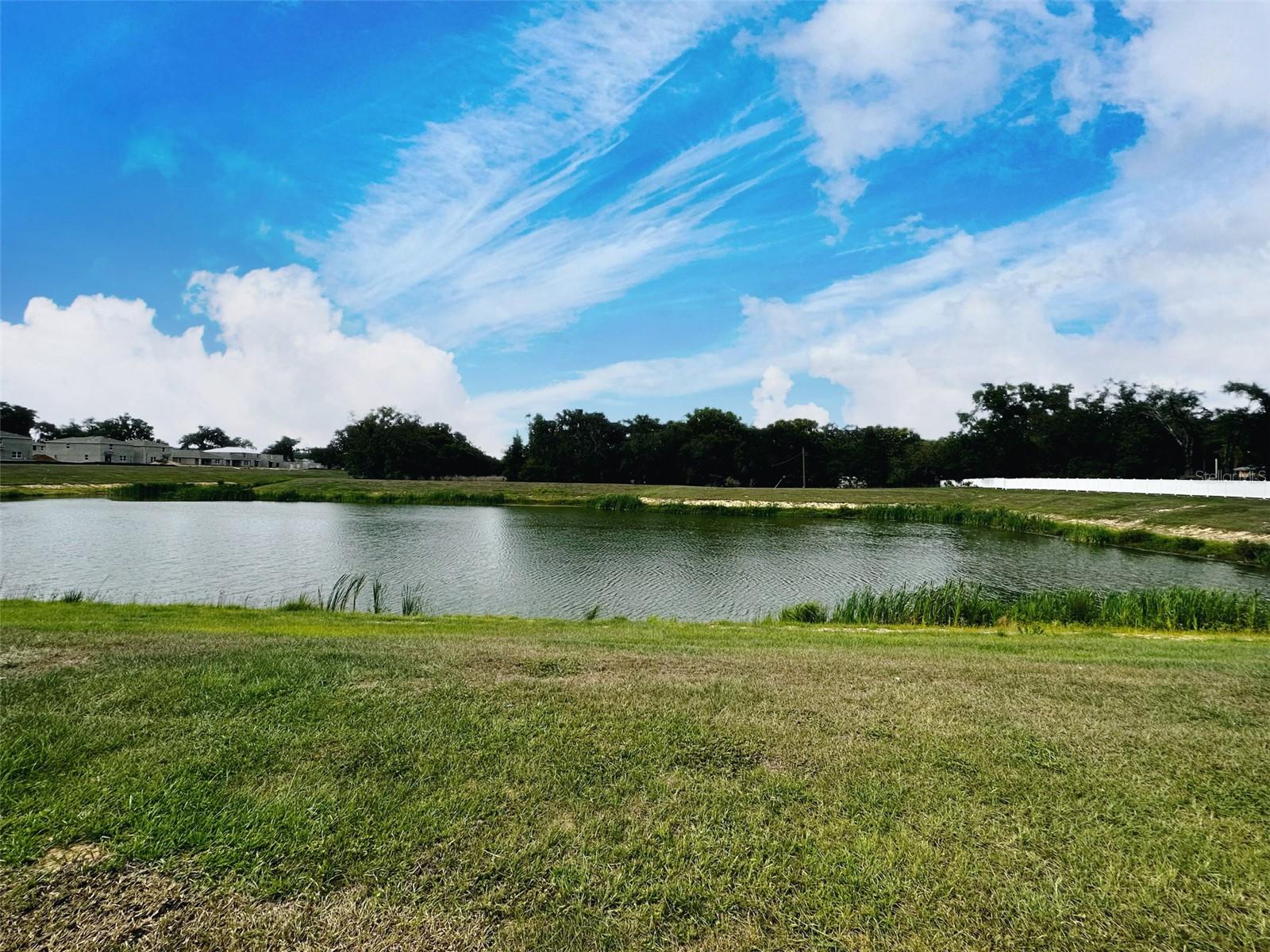 36711 SPANISH ROSE DR — photo 28