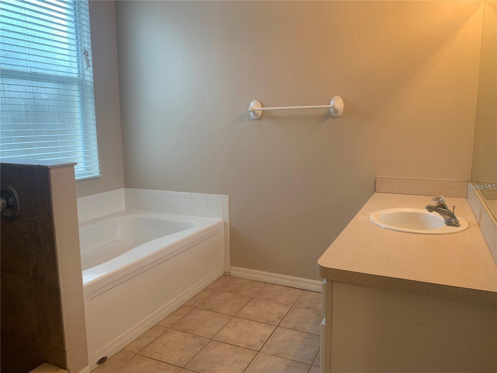 19132 WOOD SAGE DR — photo 5