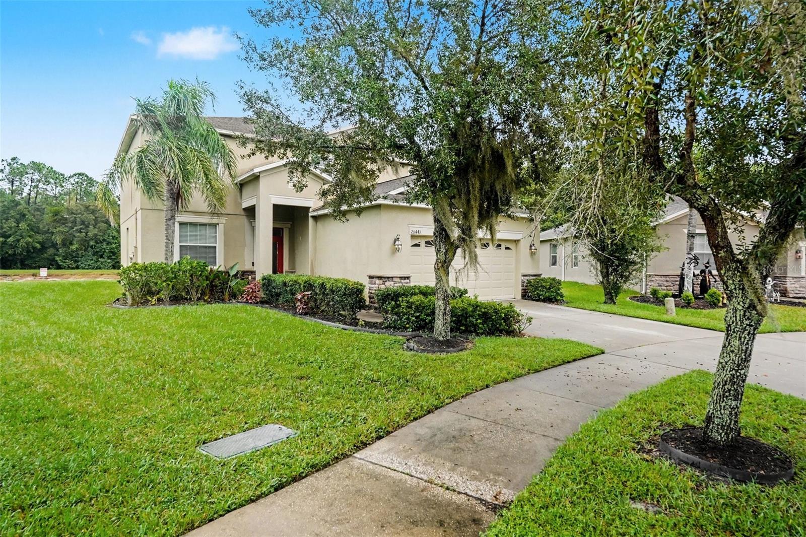 20443 AUTUMN FERN AVE — photo 2