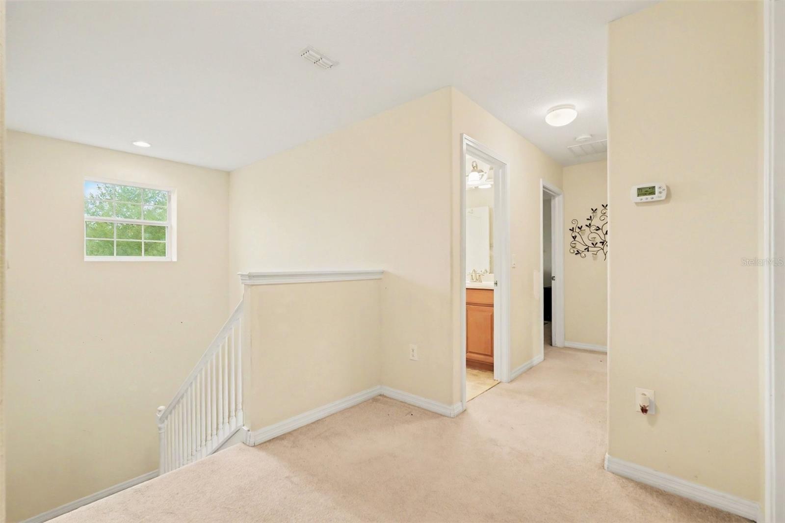 20443 AUTUMN FERN AVE — photo 16