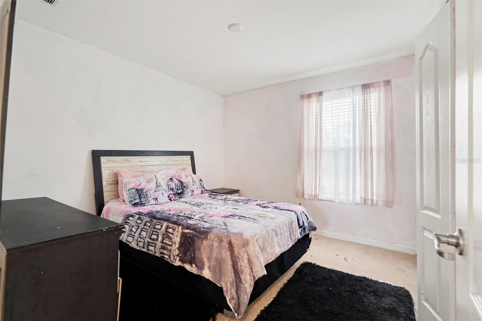 20443 AUTUMN FERN AVE — photo 21